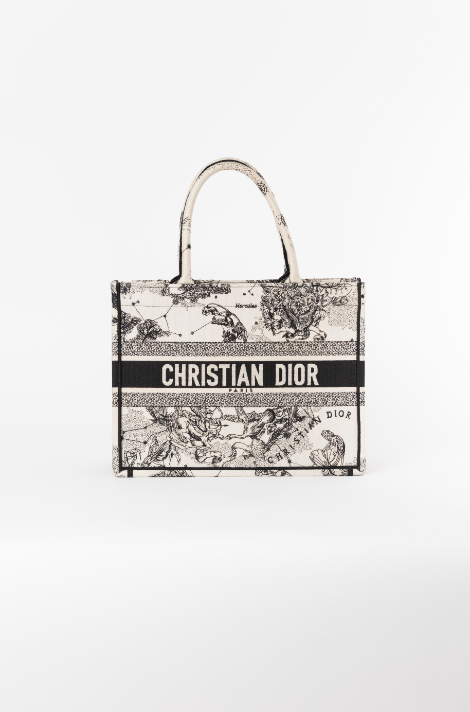 Sac Dior
