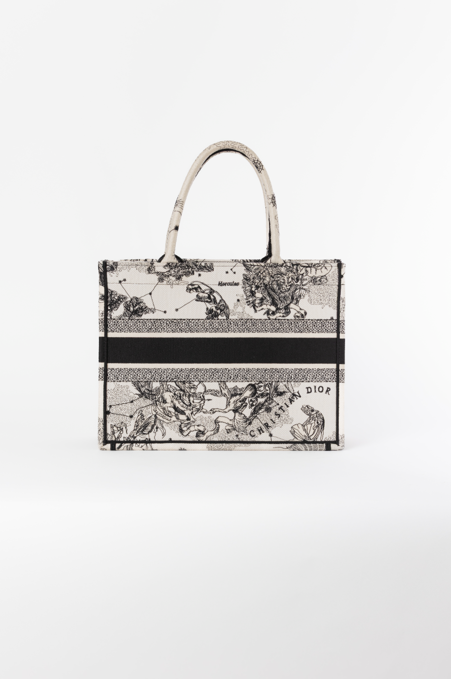 Sac Dior