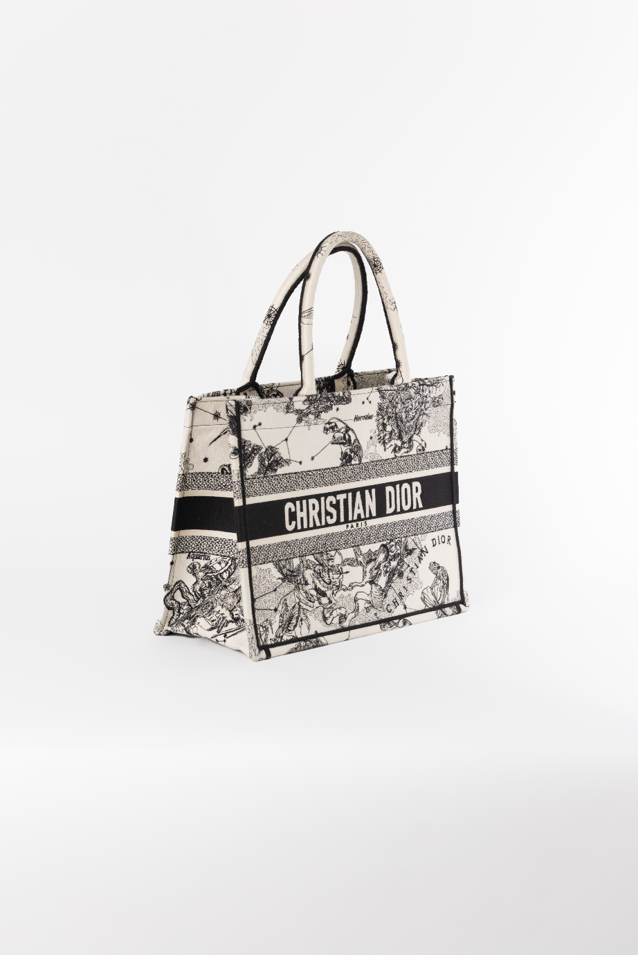 Sac Dior